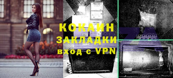 спиды Богородицк