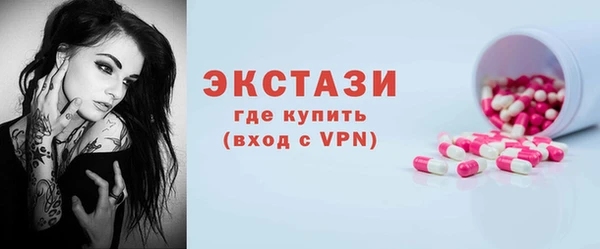 спиды Богородицк
