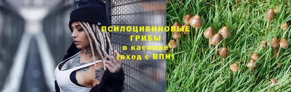 кокаин Богданович