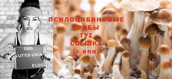 спиды Богородицк