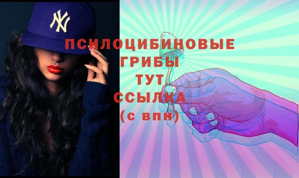 спиды Богородицк